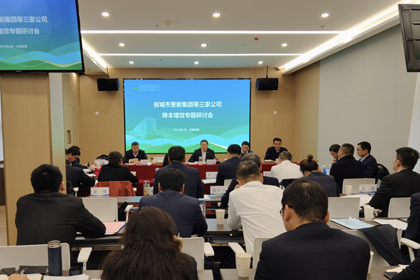 聚力攻堅降成本 深化改革增效益——省城市更新集團等三家公司召開(kāi)降本增效專(zhuān)題研討會(huì )