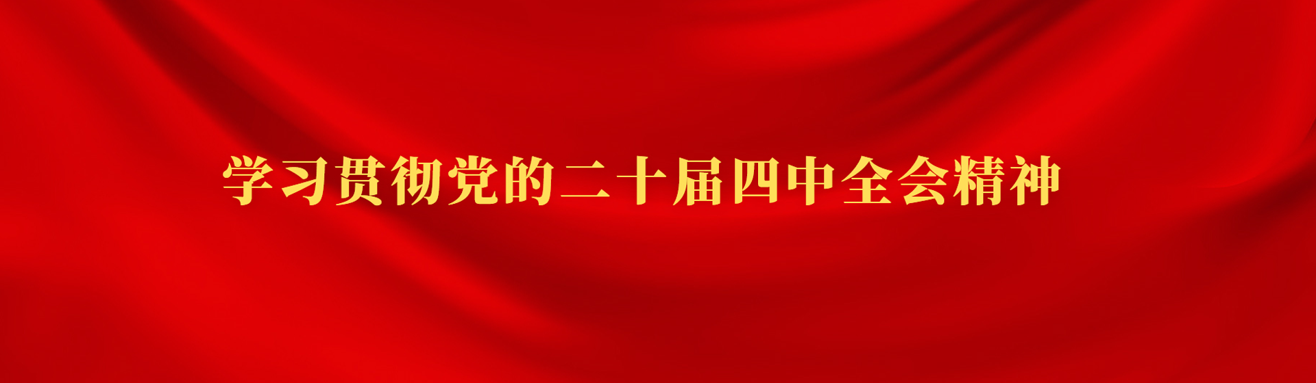 學(xué)習貫徹黨的二十屆四中全會(huì )精神